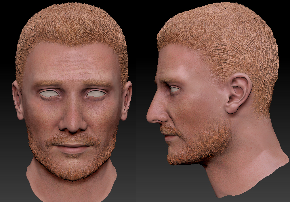 Male Australian 3D character head