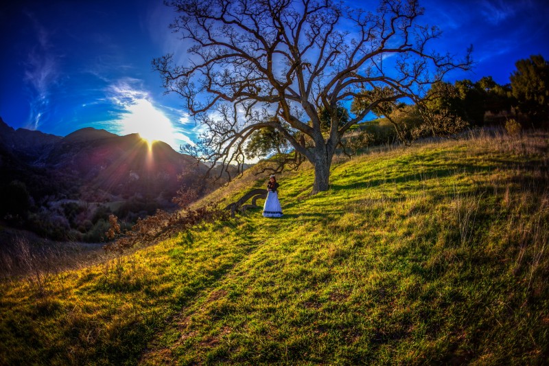 IMG_1877edit2 copymed