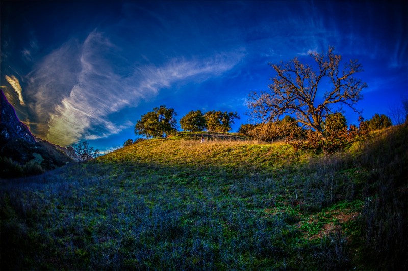 IMG_1902edit2 copymed