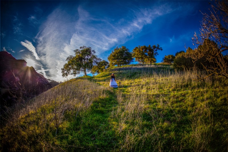 IMG_1914edit1a copymed