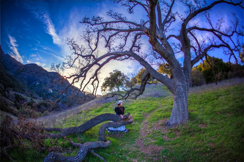 IMG_1992edit1 copymed