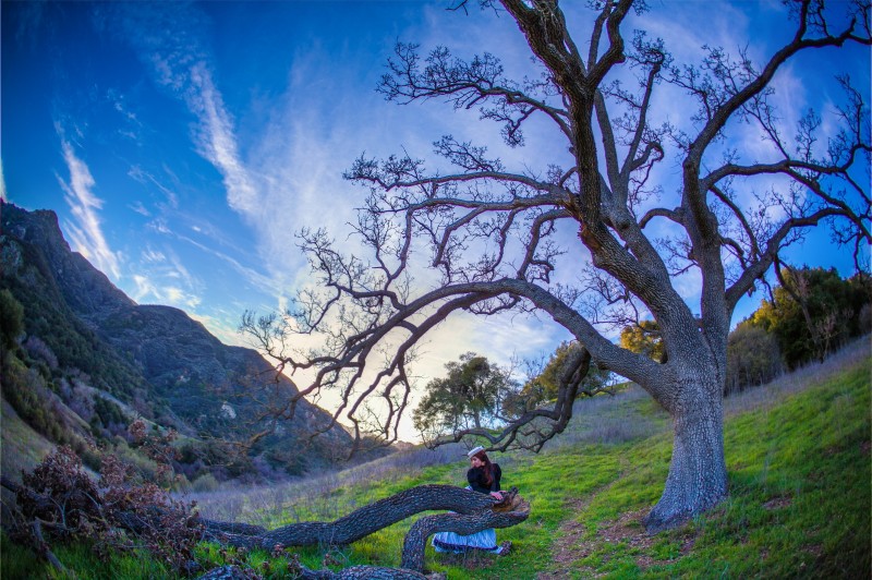 IMG_2001edit1 copymed