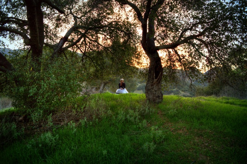 IMG_2422edit1 copymed