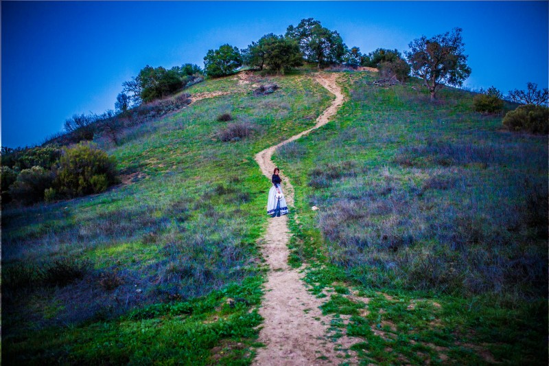 IMG_2518edit1 copymed